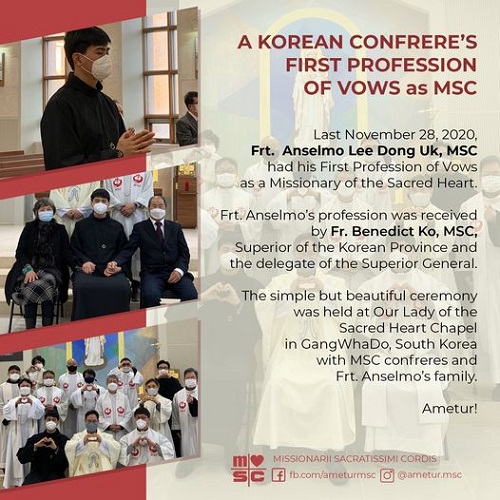 msc korea profession