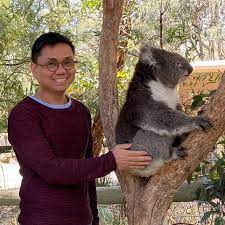 chung koala