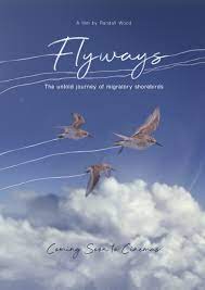 flyways post