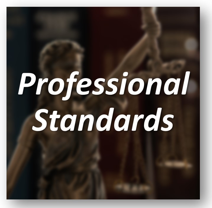 Professional Standards Tile from Screen Capture