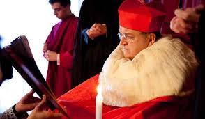 cardinal burke ermine