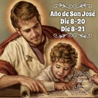 St Joseph – Man of Dreams  - Tomorrow, May 1st, is the Feast of St Joseph the Worker in the Year of St Joseph.