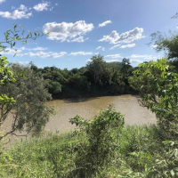 Some MSC mission ministry, NT, Daly River, Nauiyu, parish