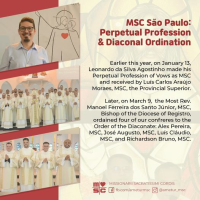 Developments in the 3 MSC Brazilian Provinces