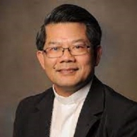 Vincent Long, Australian Plenary Synod, Perspectives