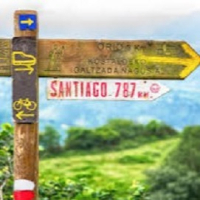 An MSC Postscript to the Camino film